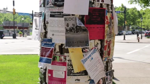 Female student pulling off an advertisement from a campus bulletin board Stock Footage 64894818