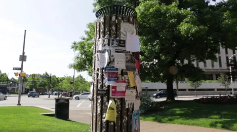 Female student pulling off an advertisement from a campus bulletin board Stock Footage 64894908