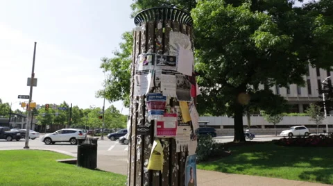 Female student pulling off an advertisement from a campus bulletin board Stock Footage 64894915