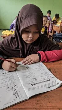 A female student working on an assignment Stock Photos