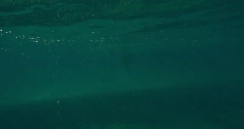 Female surfer diving under large ocean wave with surfboard in Australian beach w Stock Footage 199463532