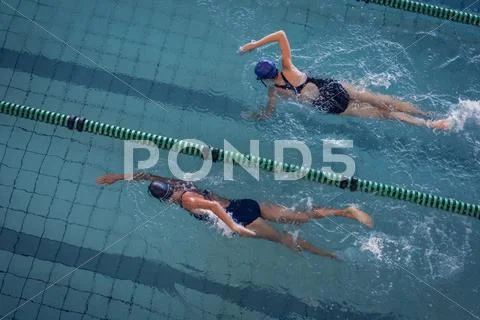 Female swimmers racing in the swimming pool Stock Photos