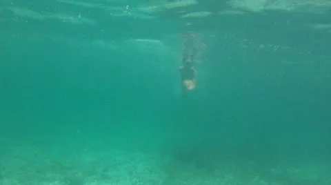 Female Swimming With Conch Shell Stock Footage 7902710