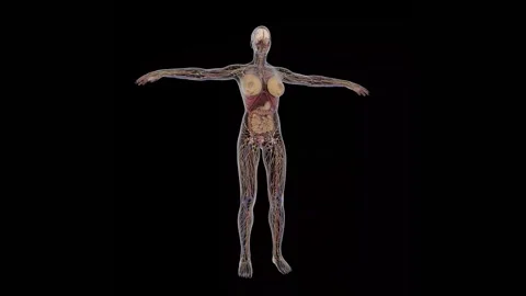 Female Body Shape Stock Video Footage