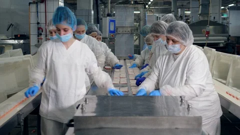 Female technicians are relocating crab sticks. Factory line at food plant. Stock Footage 112713770