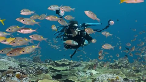 Female underwater photographer and Stock Video Pond5