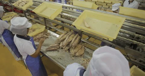 Female In Uniform In Tuna Fish Processing Plant (4K) Stock Footage 60925905