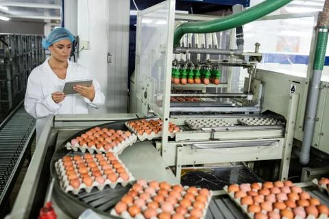 Female using digital tablet while examining eggs on conveyor belt Stock-Fotos