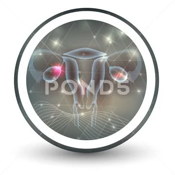 Female uterus and ovaries icon ~ Clip Art #74413499