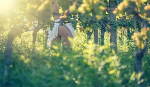 Female in vineyard Stock Photos