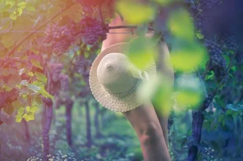 Female in vineyard Stock Photos