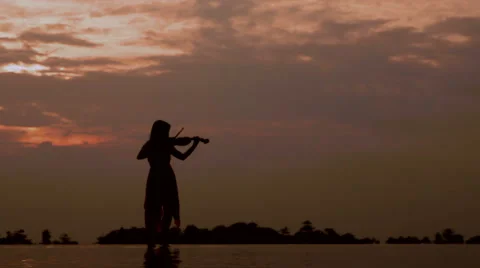 Female Violinst Playing at Sunset Stock Footage 48539570