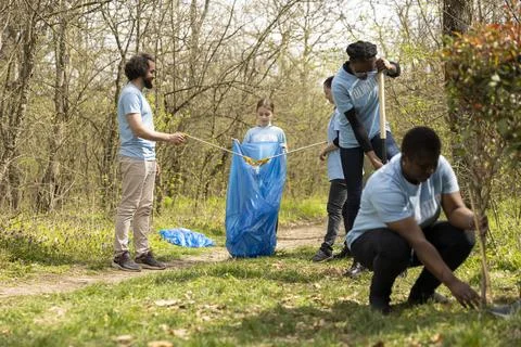 Female volunteer plants sapling while teammates clean nearby forest area Stock Photos