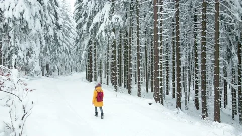 Female walking in forest in winter. Stock Footage 222121689