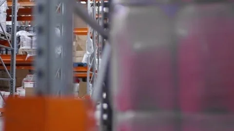 Female Warehouse Manager Checking Inventory Stock Footage 82811345