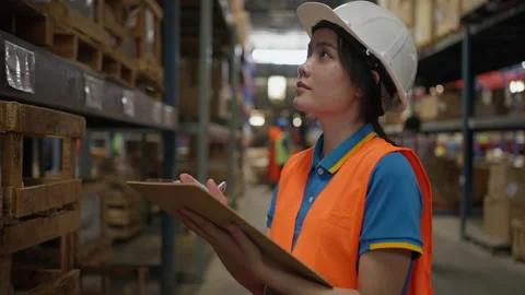 Female warehouse staff checking inventory Stock Footage 203511233