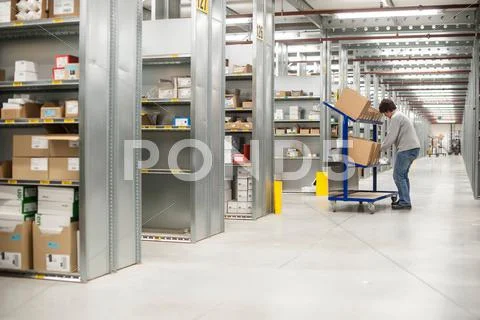 Female Warehouse Worker Collecting Orders On Delivery Trolley