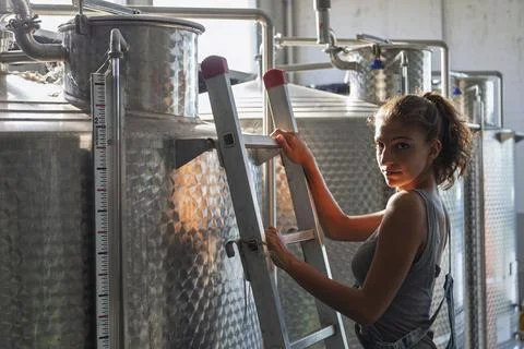 A female winemaker checking the quality of the wine on a ladder above the c.. Stock Photos