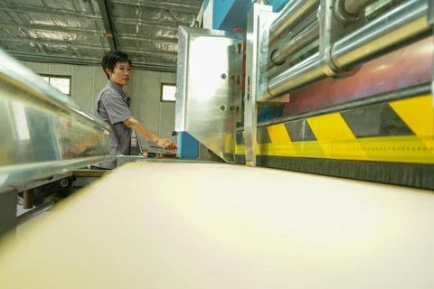 Female Worker Adjusting Control Knobs of Carton Printing and Slotting Machine Stock Photos