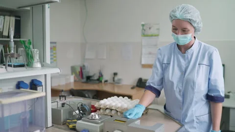 Female worker checking quality of the chicken eggs produced at the poultry plant Stock Footage 277293381