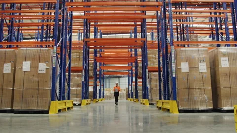 A female worker inspecting the boxes in the warehouse Stock Footage 264080164
