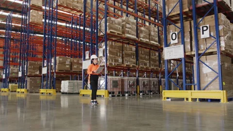 Female worker inspecting the boxes in the warehouse Stock Footage 264080513