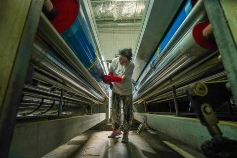 Female Worker Operating Printing Machine Control Panel to Adjust Parameters Stock Photos