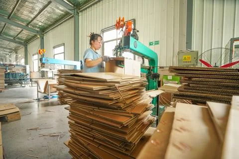 Female Worker Operating Stitching Machine to Process Semi-finished Corrugat.. Stock Photos