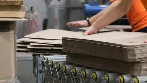 A female worker puts the boxes flat and sends them to the packaging. Video stock 257434022