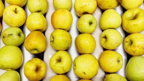 Female worker in rubber gloves sorting apples on conveyor belt Stock Footage 306621834