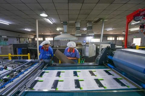 Female Worker Sampling Finished Paper in Printing Workshop Stock Photos