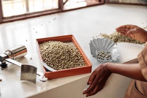 Female worker sorting coffee beans by size using a sieve Stock Photos