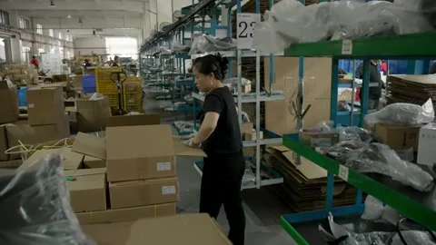Female Worker Stacking Cargo Cardboard Boxes onto Production Line Shelves Stock Footage 338372814