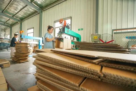Female Worker Using Stitching Machine to Process Carton Boards in Corrugate.. Stock Photos