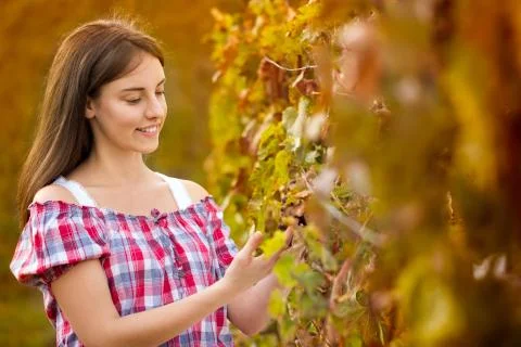 Female worker in vineyard Stock Photos