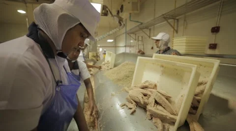 Female Workers In A Fish Factory Stock Footage 60932457