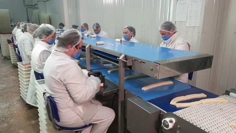 Female workers making buns of dought and sausages, put it on conveyor belt. Stock Footage 166512579
