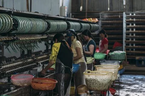 Female workers processing silk worms in a silk factory. Stock Photos