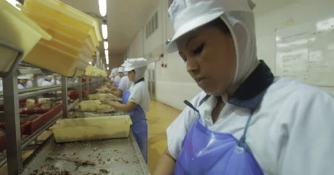 Female Workers In Tuna Fish Processing Plant (4K) Stock Footage 60919618