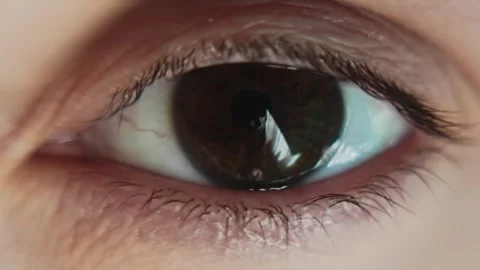 Female's brown eye looking at camera Video stock 281930532