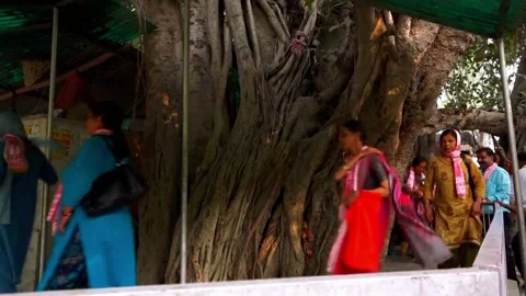 Females Gathering In Spiritual Function during Day Stock Footage 131468249