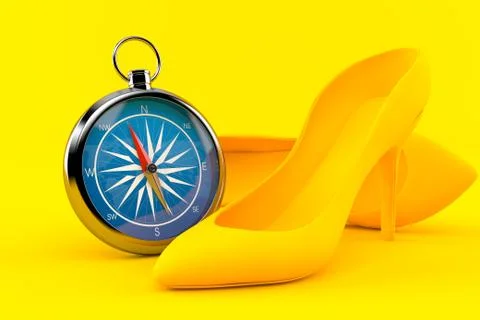 Femininity background with compass Stock Illustration