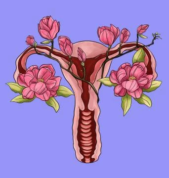 Feminism Stock Illustration