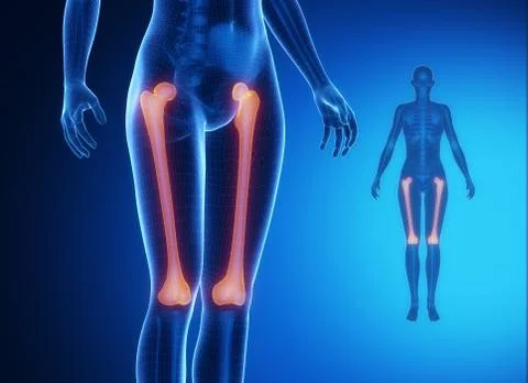 FEMUR blue x--ray bone scan Stock Illustration