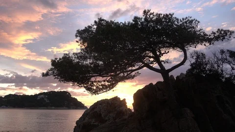 Fenals beach in Lloret de Mar at sunrise Stock Footage 112596638