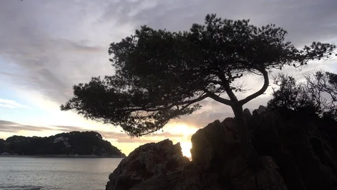 Fenals beach in Lloret de Mar at sunrise Stock Footage 112641723