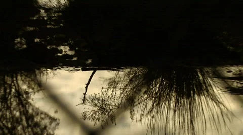 Fence 03 Stock Footage 330462