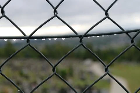 Fence after rain Stock Photos