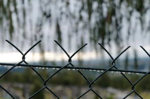 Fence after rain Stock Photos