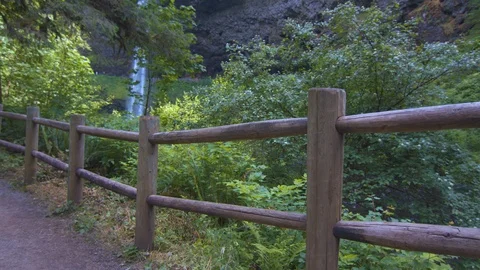 Fence Along a Hiking Path at Silver Falls Stock Footage 91225427